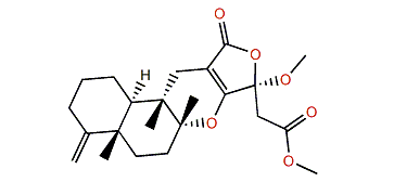 Dactylolactone D